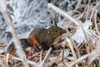 《龙腾世纪：影障守护者》4090可原生4K＆70帧运行