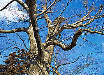 动作平台游戏《Mighty Switch Force! Collection》繁中版今年4月7日上市