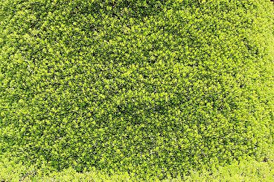 团队合作第一人称射击游戏《Rocket Squad》Steam页面 4月发售